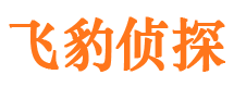 大田市私家侦探